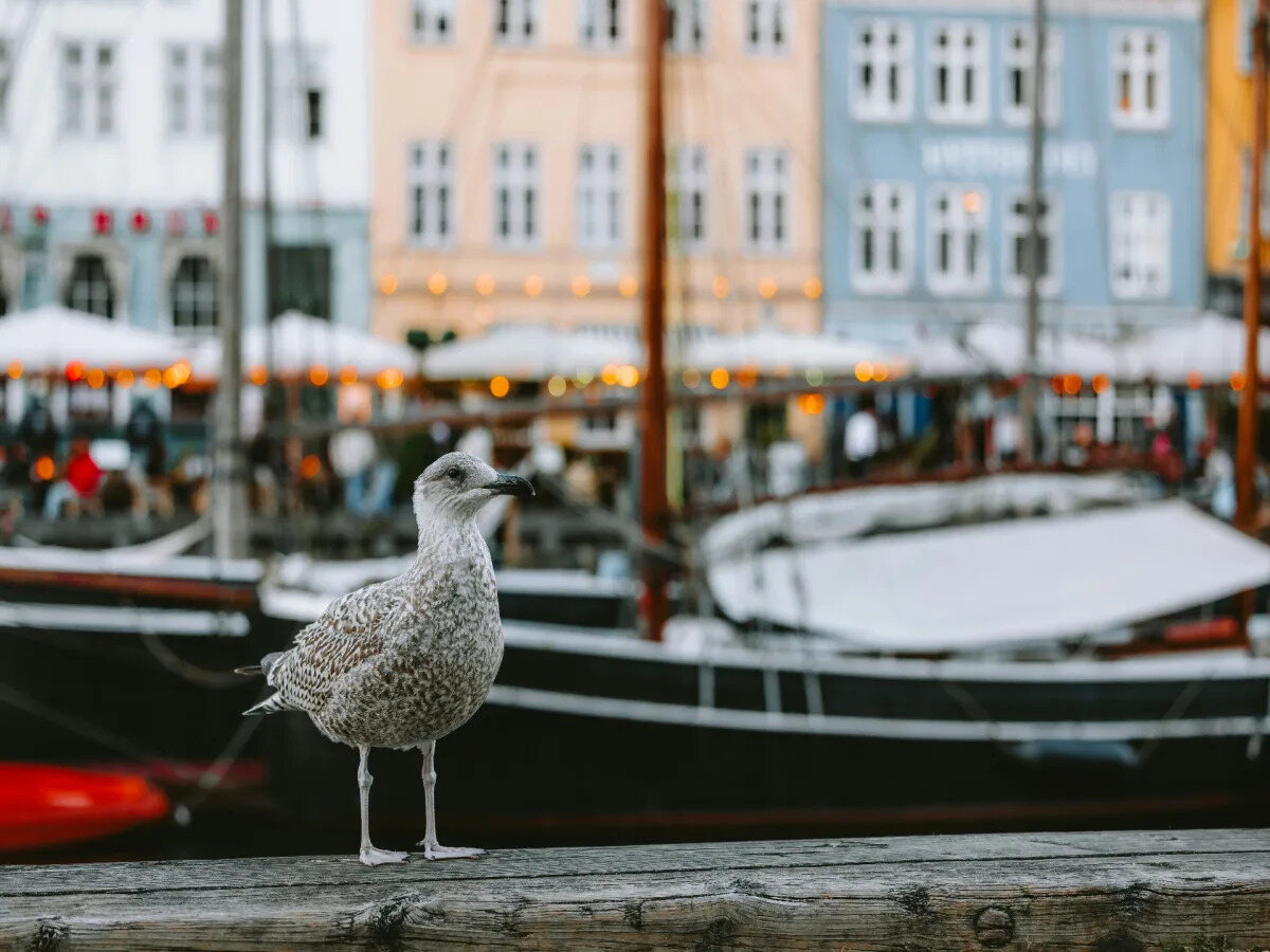 Copenhagen, Denmark — Nordic & Baltic hospitality region